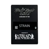 Kalashnikova Auto fem (GHS), Нидерланды