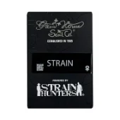 Jack's Dream Fem feminised (GHS), Нидерланды