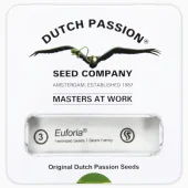 Euforia fem (Dutch Passion), Нидерланды