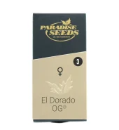 El Dorado OG fem (Paradise Seeds), Нидерланды