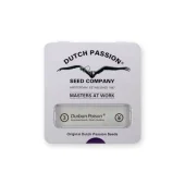 Durban Poison fem (Dutch Passion), Нидерланды