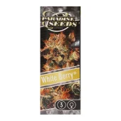 White Berry fem (Paradise Seeds), Нидерланды