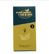 Wappa fem (Paradise Seeds), Нидерланды