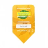 Raspberry Cough Automatic autofem (Nirvana), Нидерланды