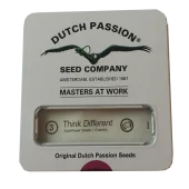 Think Different autofem (Dutch Passion), Нидерланды