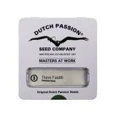 Think Fast fem (Dutch Passion), Нидерланды