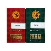 Cheese Auto autofem (Barney's Farm), Нидерланды
