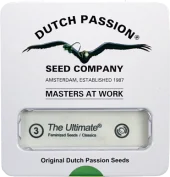 The Ultimate fem (Dutch Passion), Нидерланды