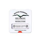 Amsterdam Amnesia fem (Dutch Passion), Нидерланды