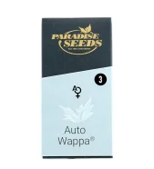 Auto Wappa autofem (Paradise Seeds), Нидерланды