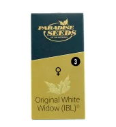 Original White Widow fem (Paradise Seeds), Нидерланды