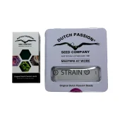 Orange Bud 2.0 fem (Dutch Passion), Нидерланды