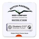 Glueberry O.G. fem (Dutch Passion), Нидерланды