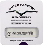 Blue Auto Mazar autofem (Dutch Passion), Нидерланды