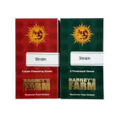 Dos Si Dos Auto autofem (Barney's Farm), Нидерланды