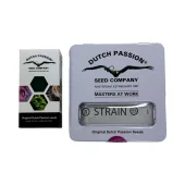 Auto Forbidden Cherry autofem (Dutch Passion), Нидерланды