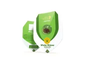 White Widow Auto autofem (Royal Queen Seeds), Испания