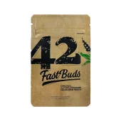 Original Auto Critical fem (FastBuds), Америка