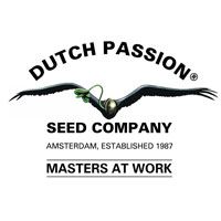 Dutch Passion
